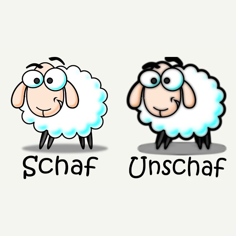 sheep