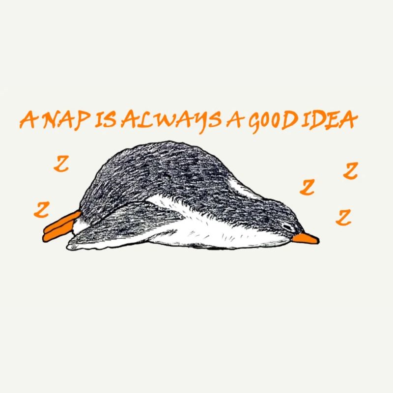 A nap is always a good idea