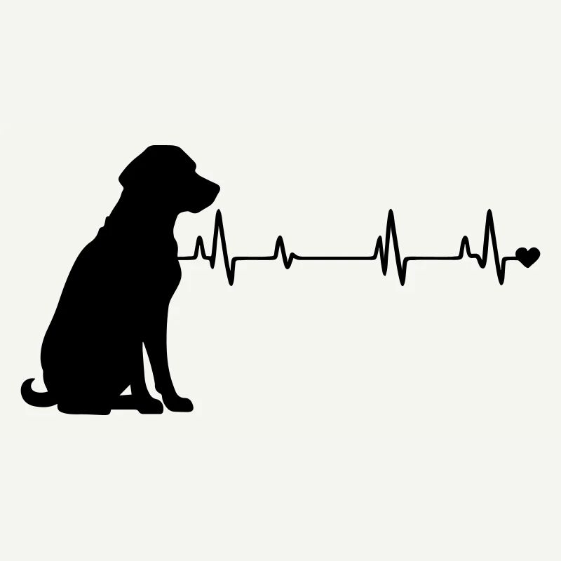 Hund