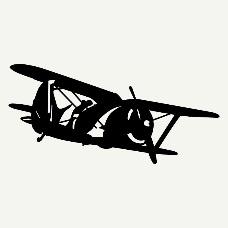 Biplan i-153