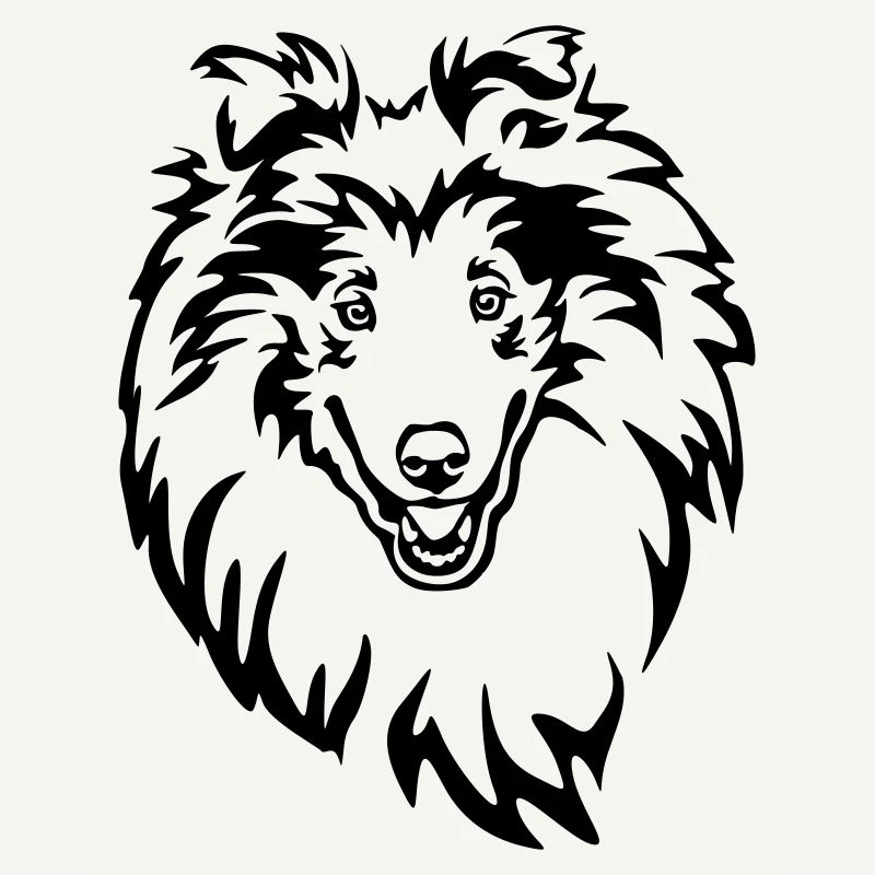 Collie Kopf
