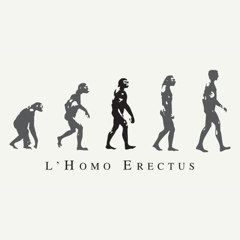 Évolution de la Position Humaine