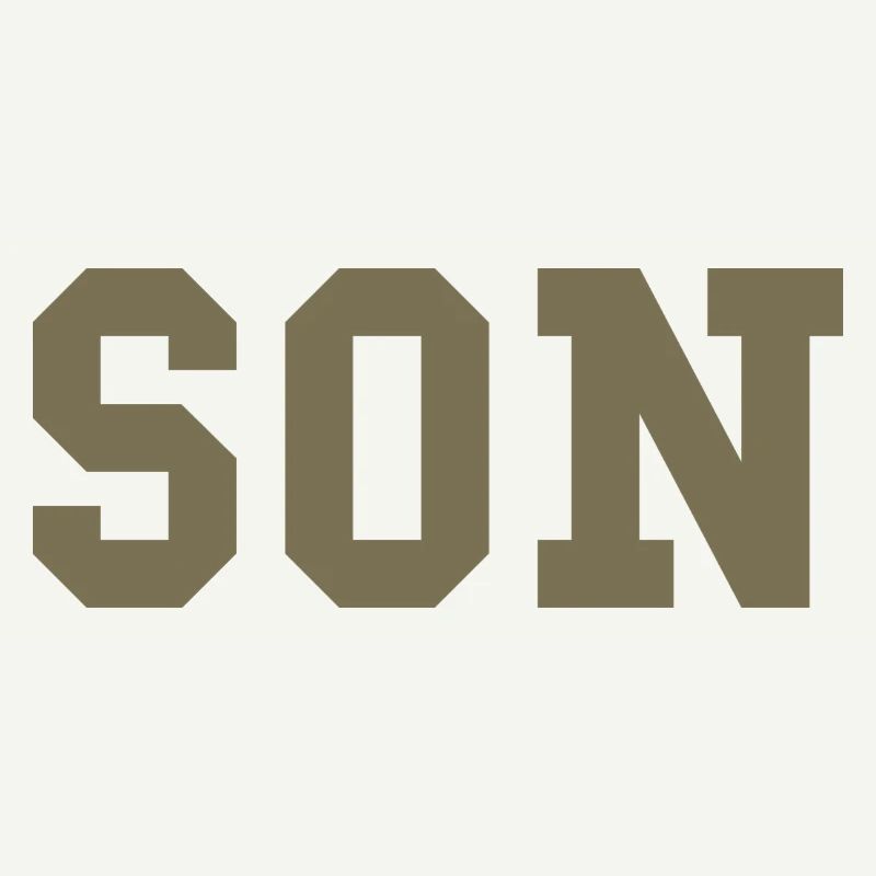 SON – Déclaration de style universitaire
