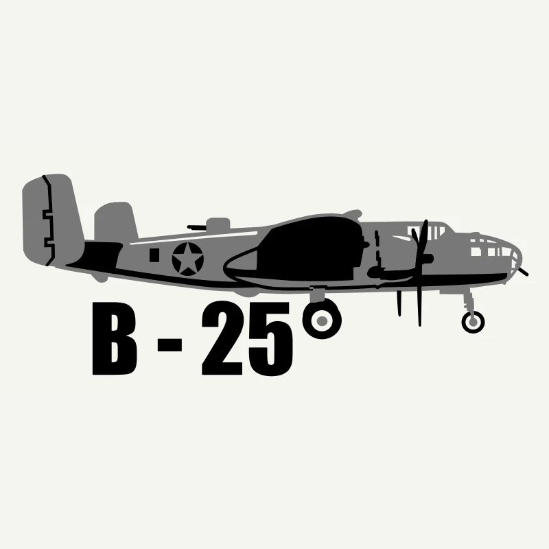 b_25_1