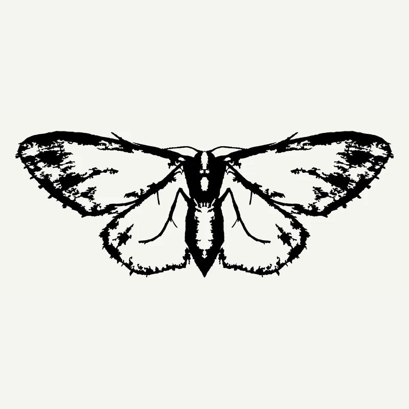 Moth / Butterfly / Moth