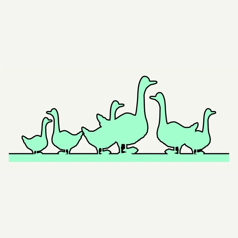 Ducks Geese