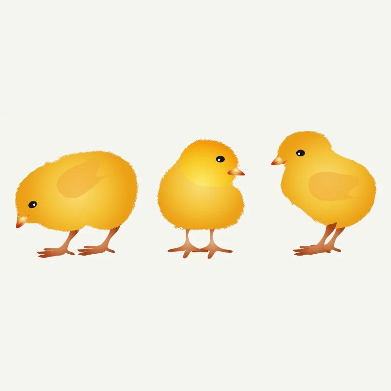 Chick – Cute Spring and Easter Motif