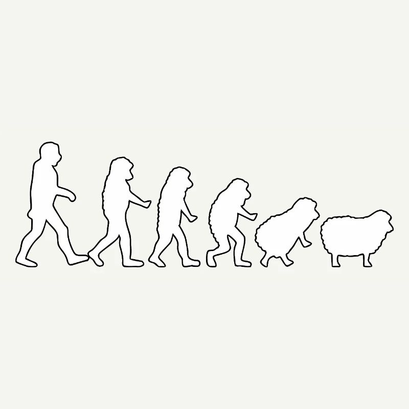 Evolution zum Schaf: Herdendenkweise