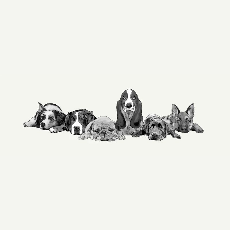 Hunde