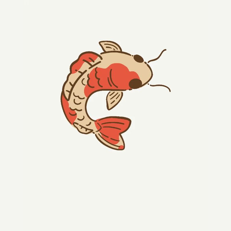 Elegante carpa Koi