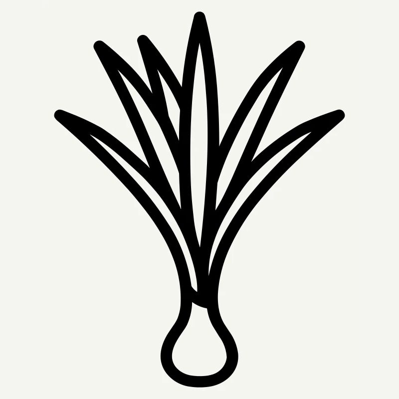 leek