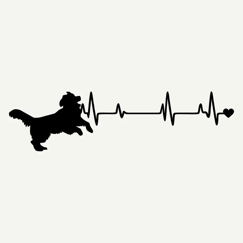 Chien