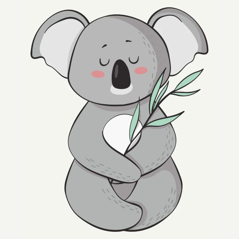 koala