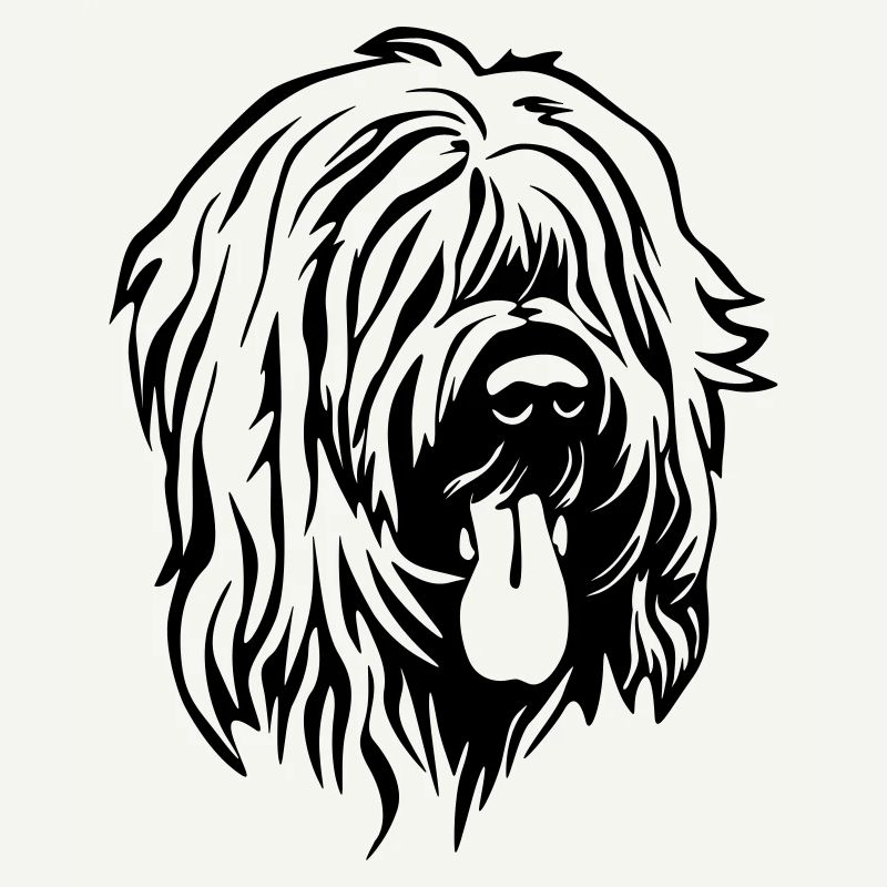 Briard head