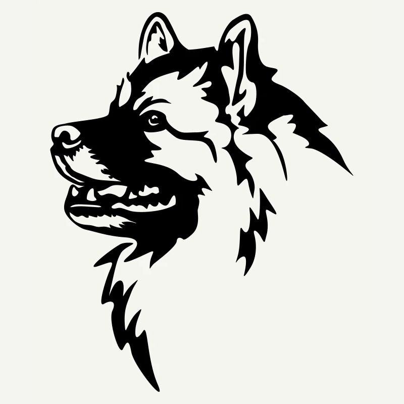 Wolfsspitz Head