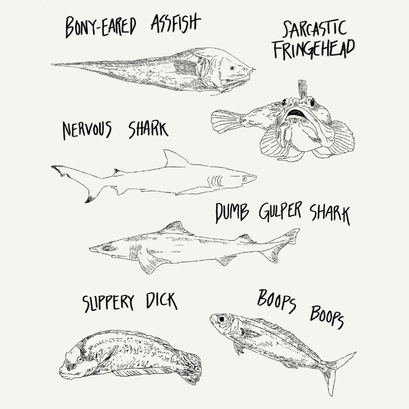 FUNNY FISH