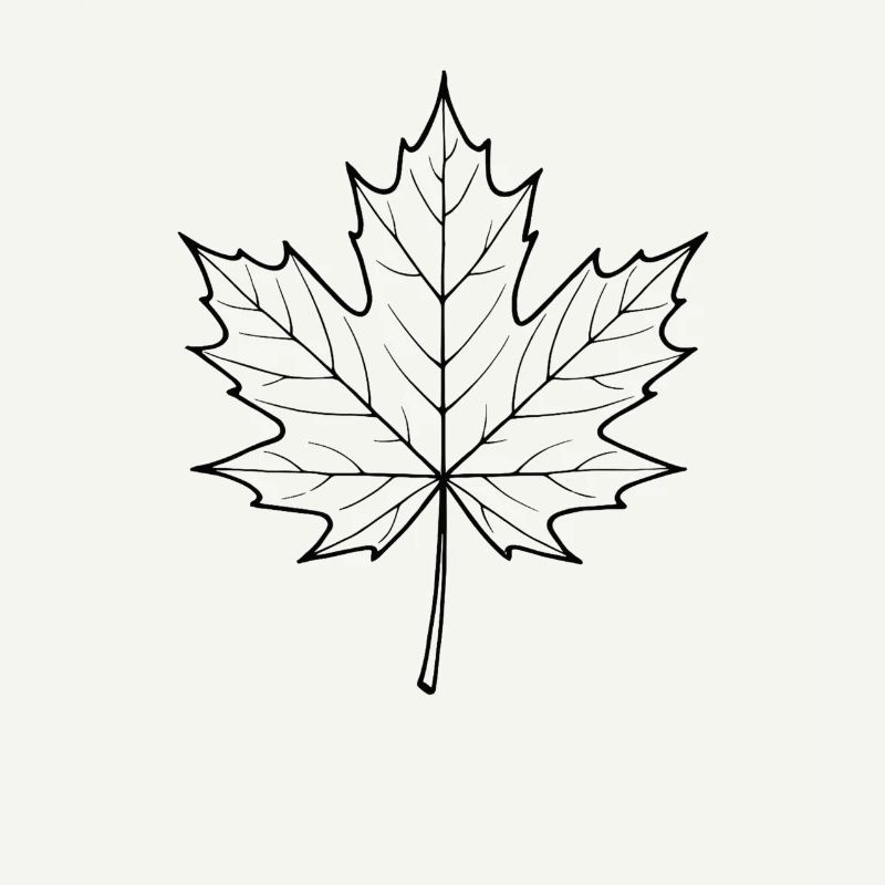 Conception de la ligne de feuilles d’érable