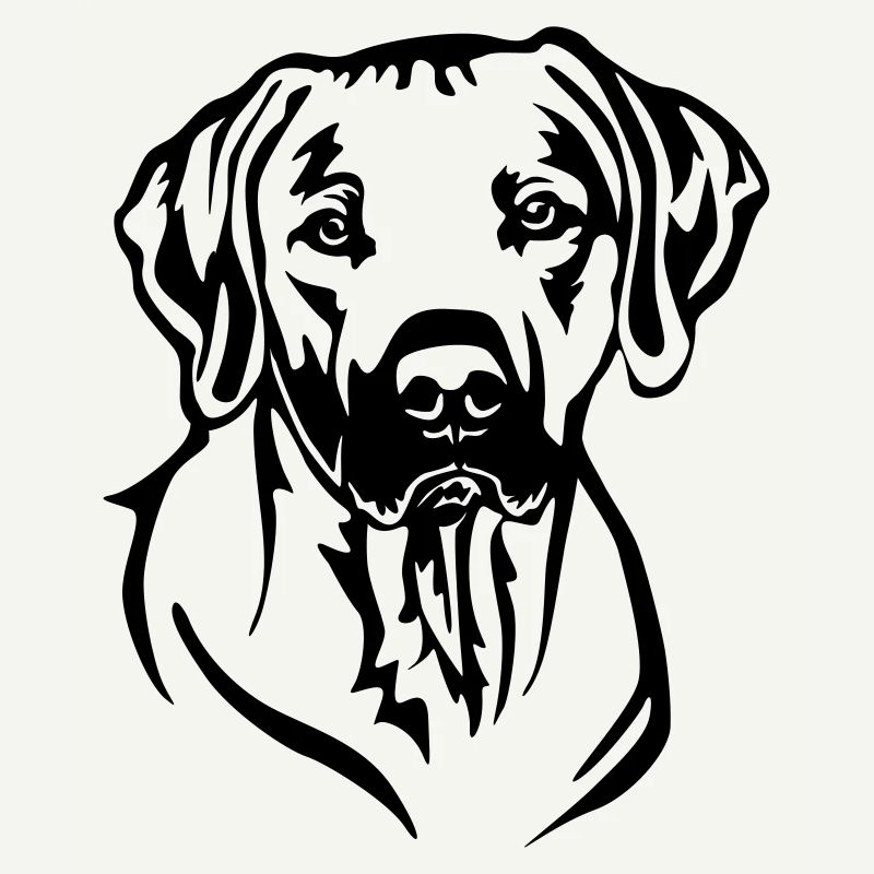 Rhodesian Ridgeback Kopf