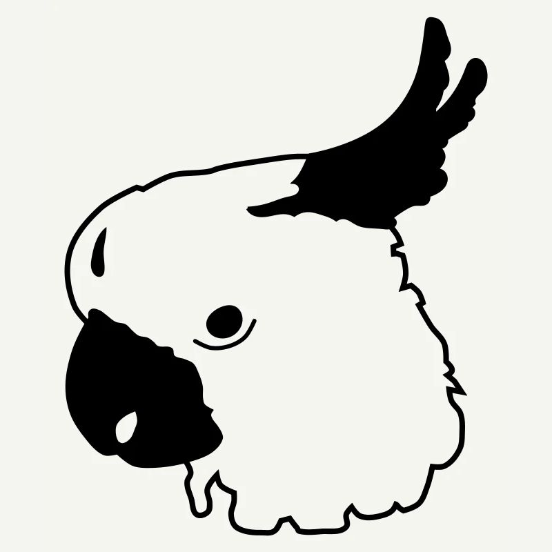 Parrot