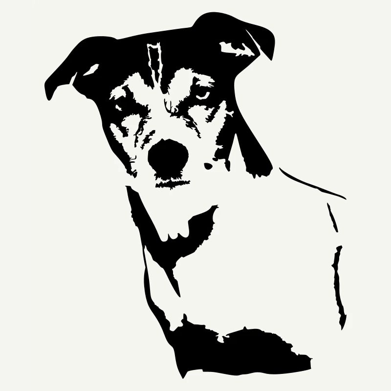 Jack Russell Terrier head