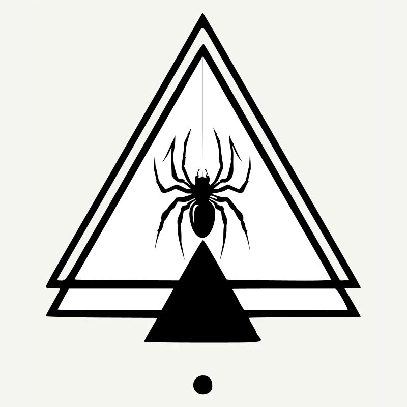 Spinne
