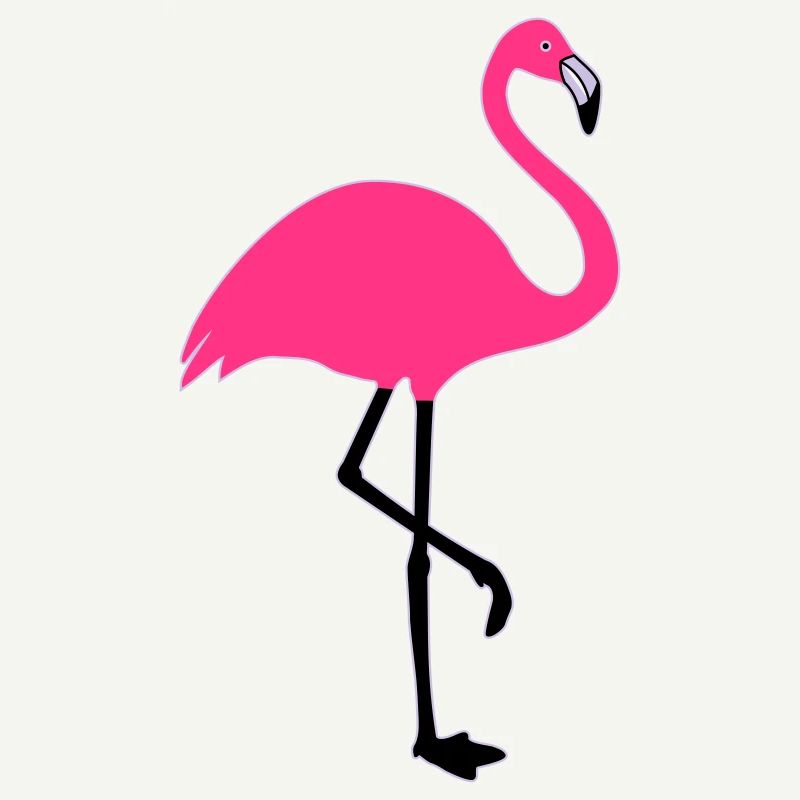Flamingo Sommer Sonne Strand