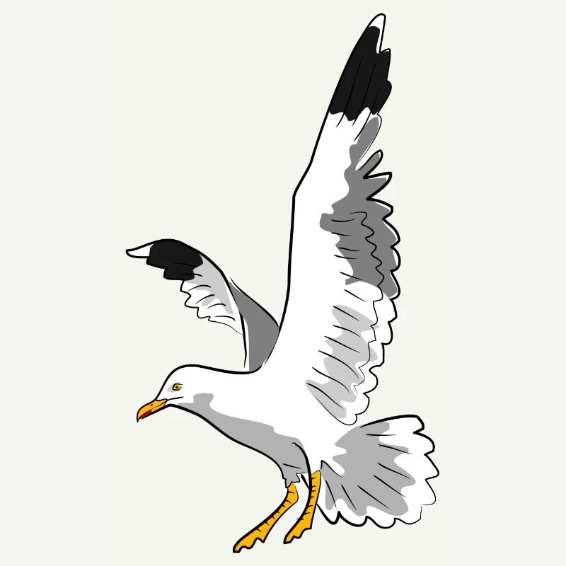 vogel möwe strand