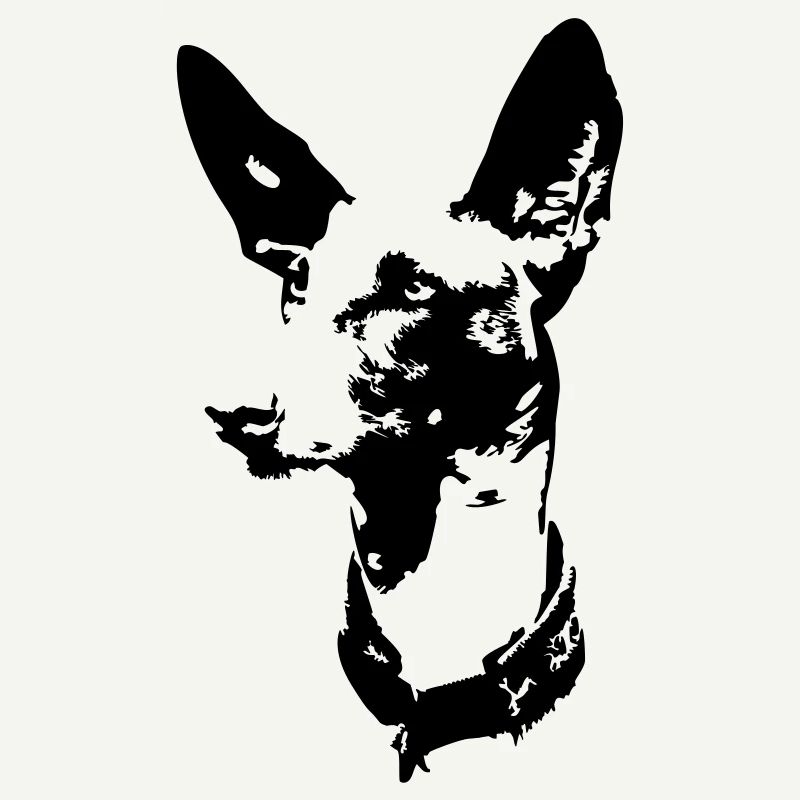 Podenco Kopf