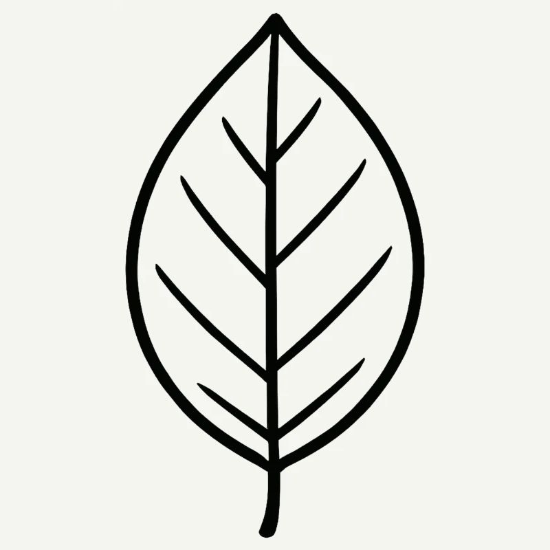 Conception minimaliste Leaf