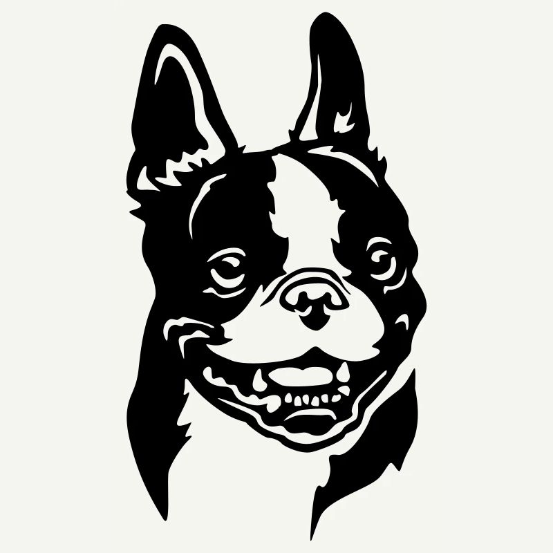 Boston Terrier Head