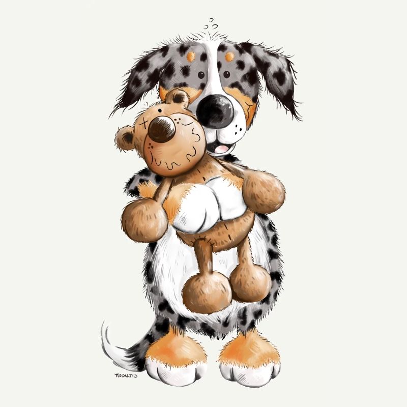 Australian Shepherd mit Teddy