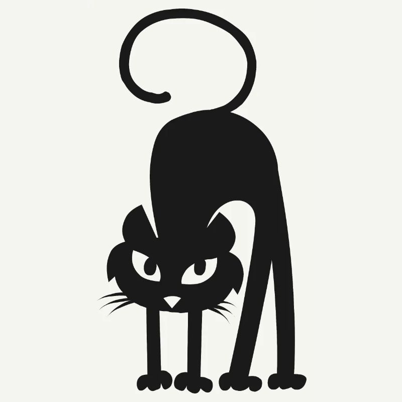 Chat noir