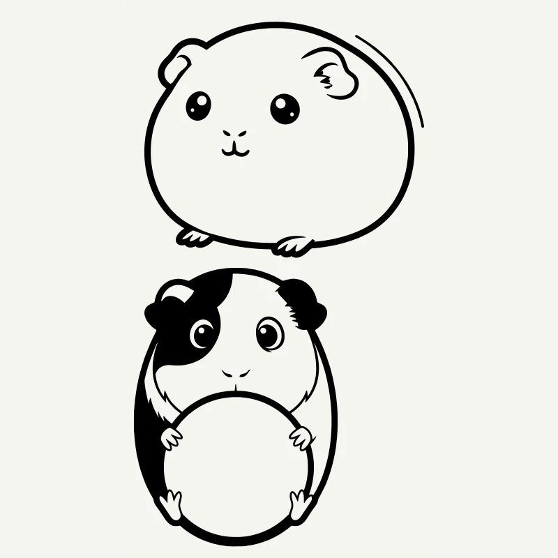 Deux têtes de cochon d’Inde