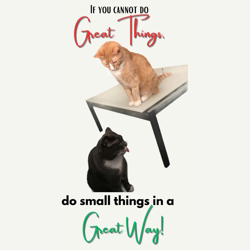 If you cannot do Great Things, do small things...