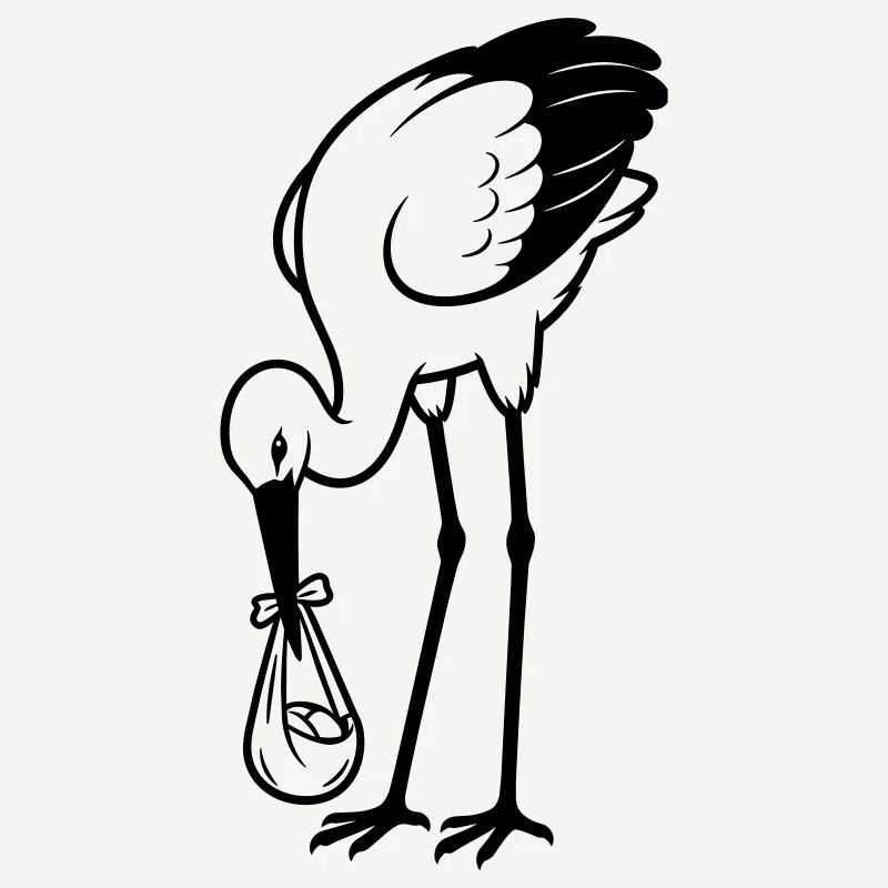Bébé cigogne