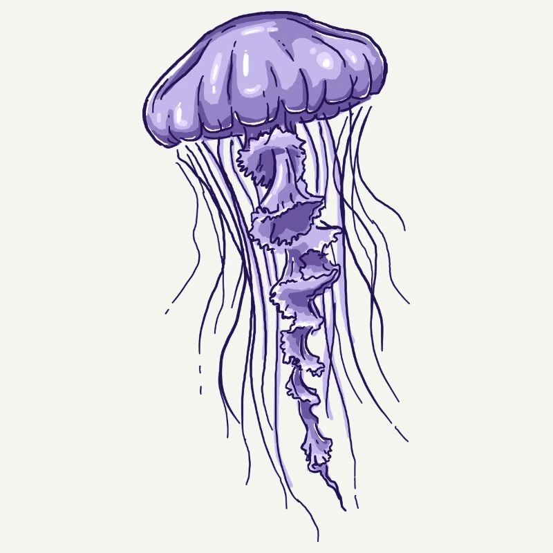 Illustration de méduse violette