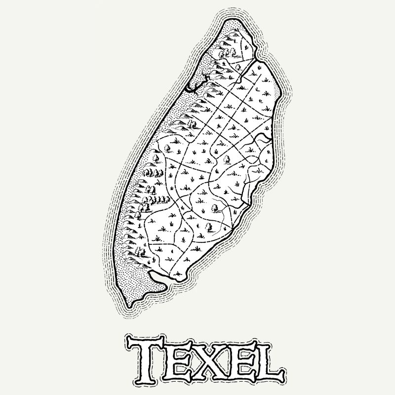 Texel | Antique map | Treasure map