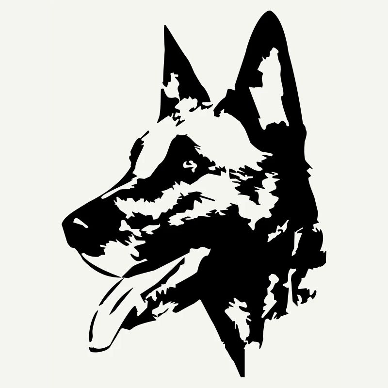 Malinois head