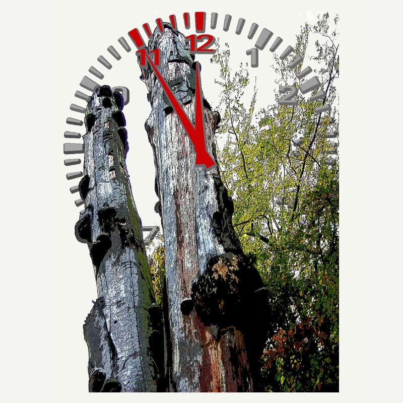 Timestamp on tree trunk 5 to 12
