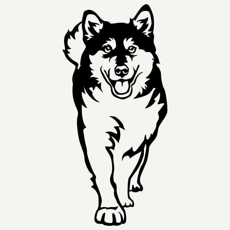 Alaskan Malamute