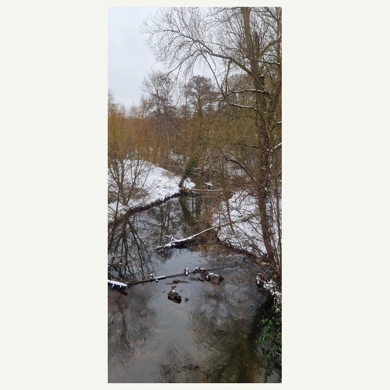 Rivière d’hiver dans le brouillard