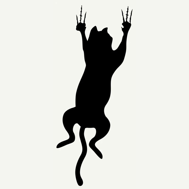 cat scratch