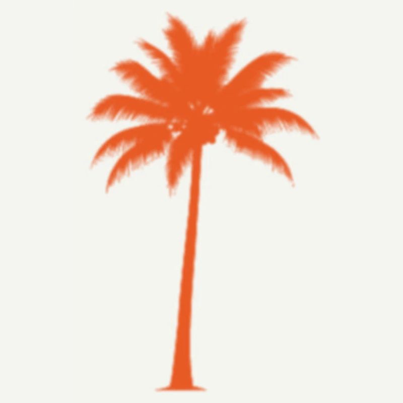 Sunset palm tree silhouette