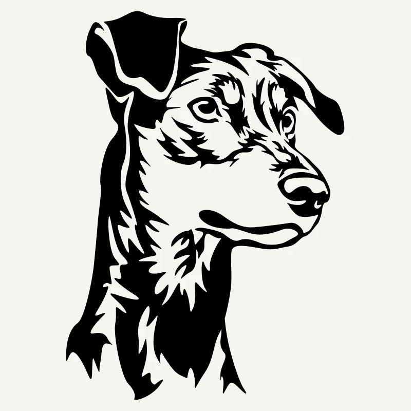 German pinscher head