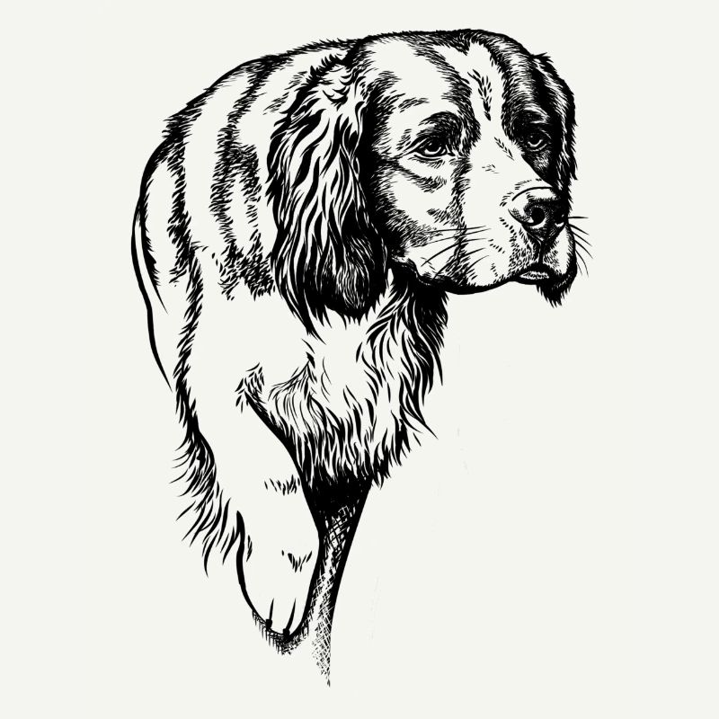 IRW Setter ci-dessus