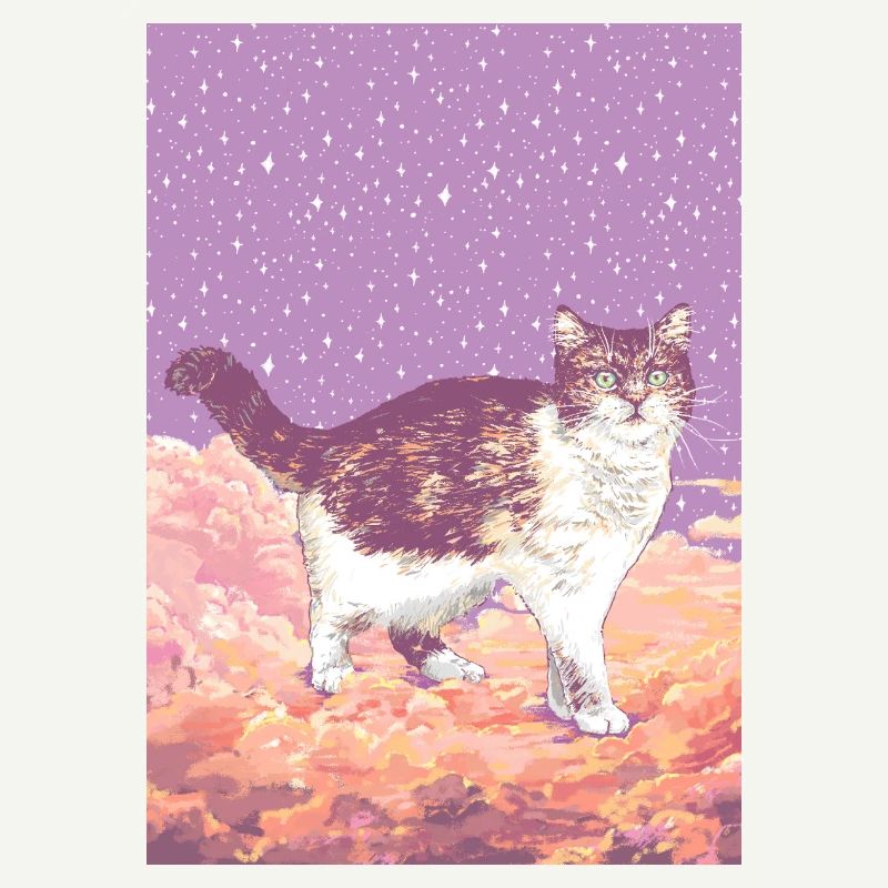 CHAT NUAGE