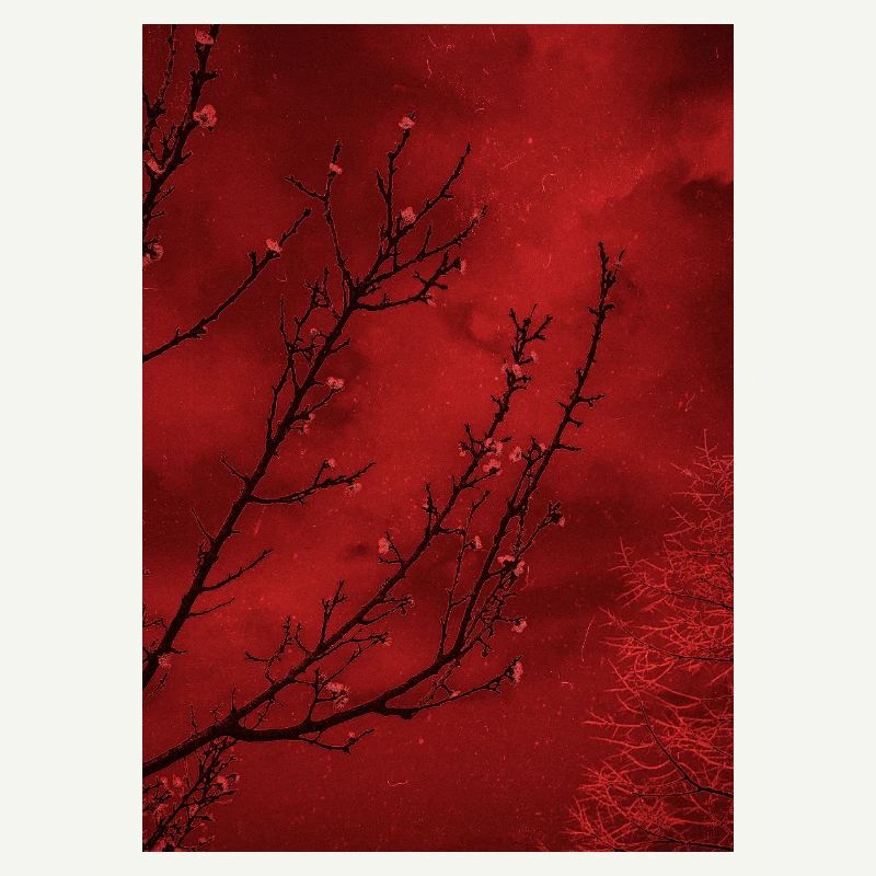 Decay