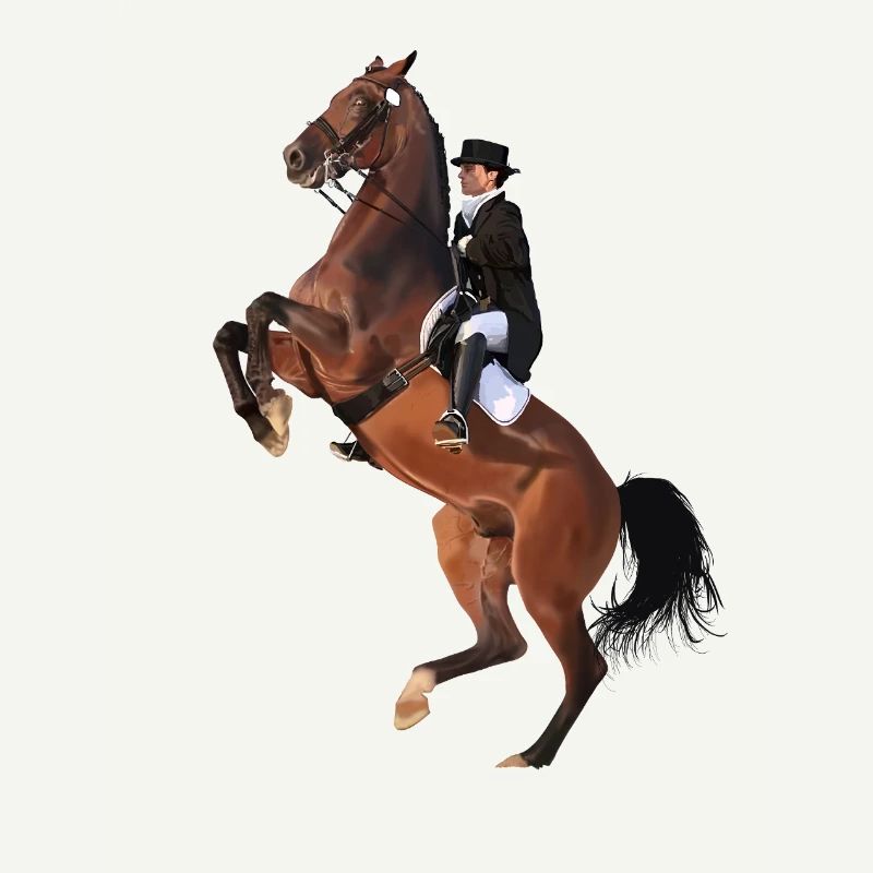 Eleganter Reiter auf Springendem Pferd