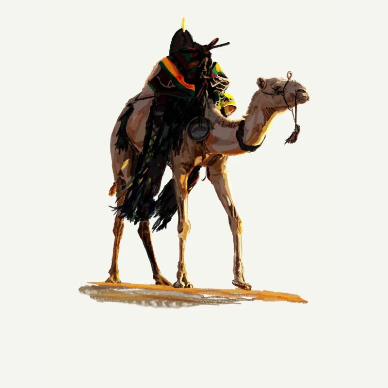 Wüstencamel