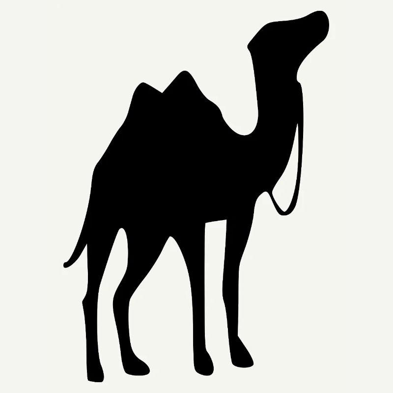 Kamel T-shirt Geschenk